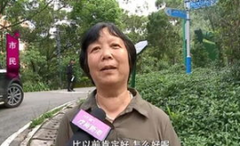 网红公里照,揭秘网红背后的真实生活