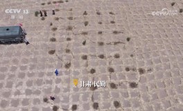 做嘴唇颜色一般多少钱焦点访谈｜久久为功 祖国北疆筑起抵御风沙“绿色长城”